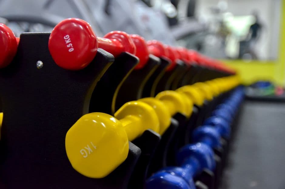 Haltères légers colorés alignés sur leur support dans une salle de renforcement